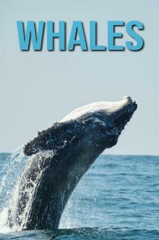 Cover of Whales