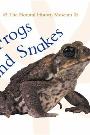Cover of Frogs and Snakes