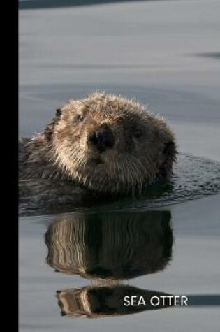 Cover of sea otter