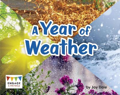 Book cover for A Year of Weather
