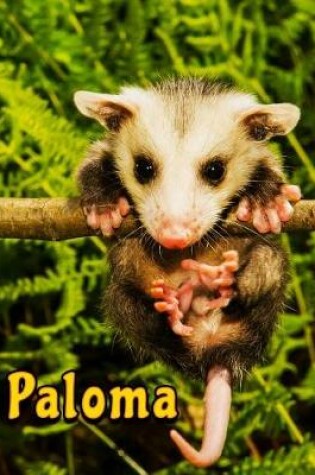 Cover of Paloma