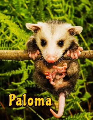 Book cover for Paloma