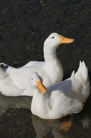 Cover of Two White Ducks Swimming in the Water Marine Bird Journal