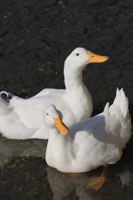 Book cover for Two White Ducks Swimming in the Water Marine Bird Journal