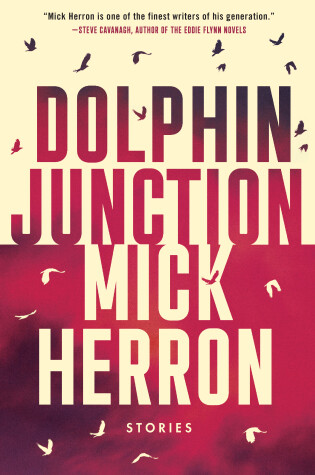 Cover of Dolphin Junction: Stories