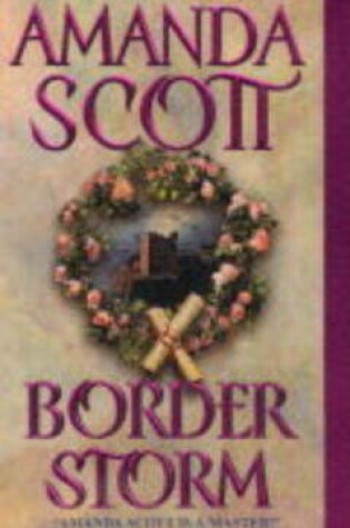 Cover of Border Storm
