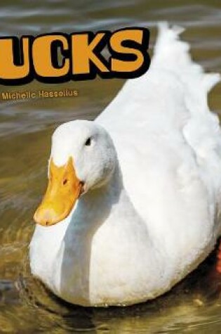 Cover of Ducks