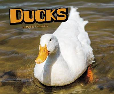 Book cover for Ducks