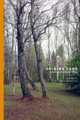 Cover of Shining Land