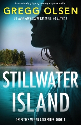 Book cover for Stillwater Island