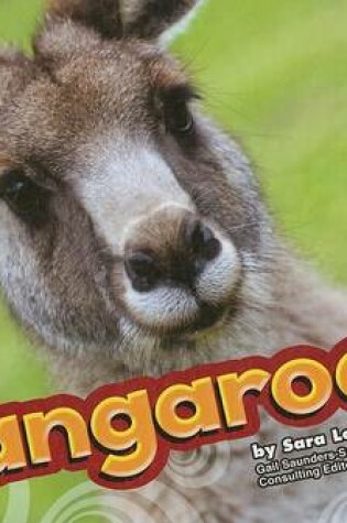 Cover of Kangaroos