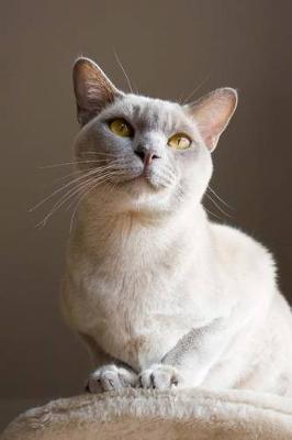 Book cover for The Burmese Cat Journal "Black Pants for Work? Good Time for Leg Brush."