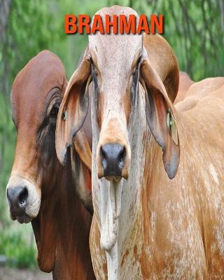 Cover of Brahman