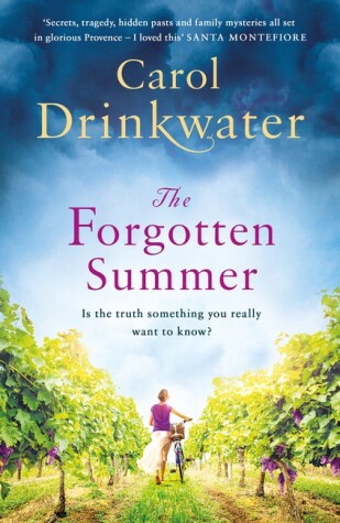 Book cover for The Forgotten Summer