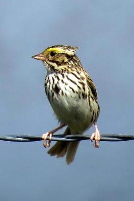 Book cover for Savannah Sparrow (Passerculus Sandwichensis) Bird Journal