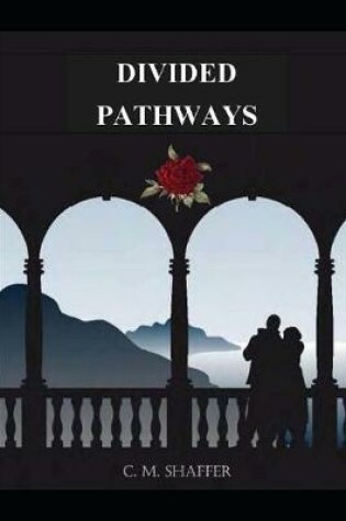 Cover of Divided Pathways