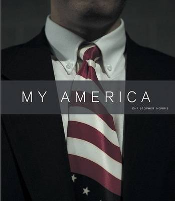 Book cover for My America