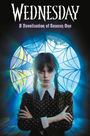 Cover of A Novelisation of Season One