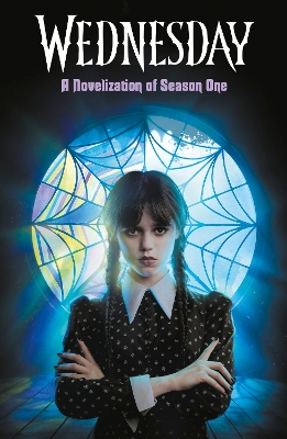 Book cover for A Novelisation of Season One