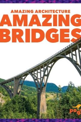 Cover of Amazing Bridges