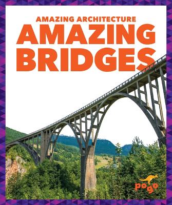 Book cover for Amazing Bridges
