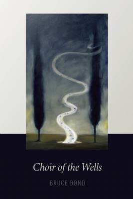 Book cover for Choir of the Wells