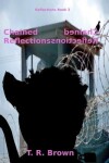 Book cover for Chained Reflections