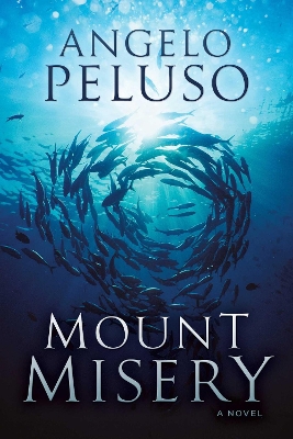 Book cover for Mount Misery