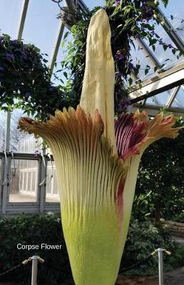 Cover of Corpse Flower