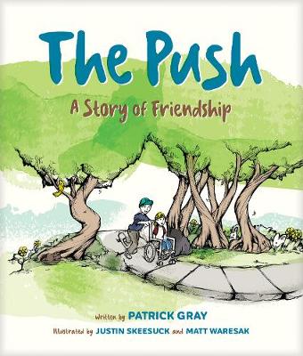Book cover for Push, The