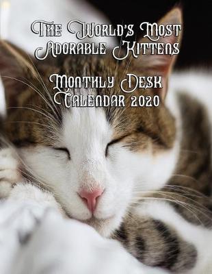 Book cover for The World's Most Adorable Kittens