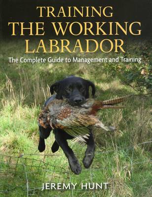 Book cover for Training the Working Labrador