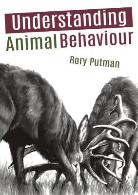 Book cover for Understanding Animal Behaviour