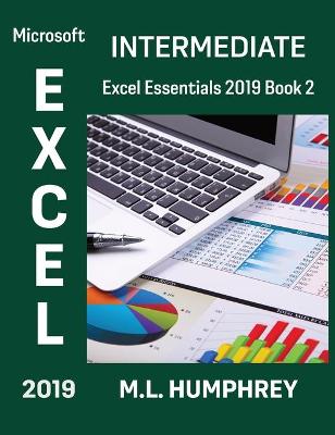 Book cover for Excel 2019 Intermediate