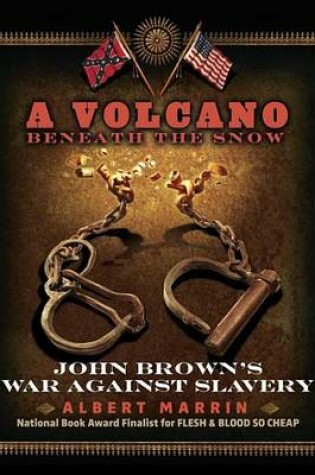 Cover of Volcano Beneath the Snow, A: John Brown's War Against Slavery