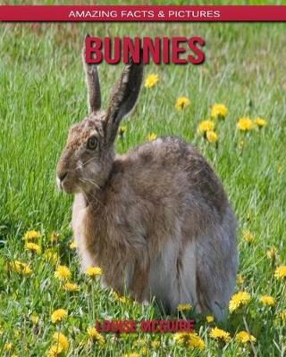 Book cover for Bunnies