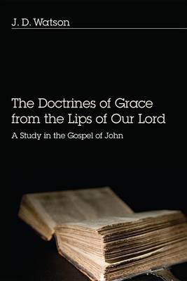 Book cover for The Doctrines of Grace from the Lips of Our Lord