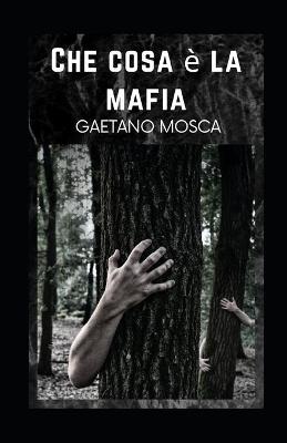 Book cover for Che cosa è la mafia illustrata