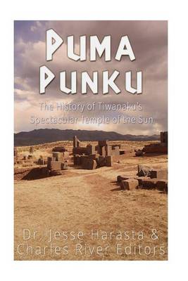 Book cover for Puma Punku