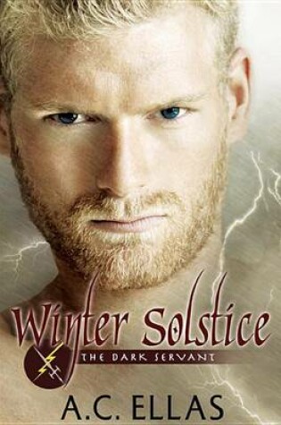 Cover of Winter Solstice