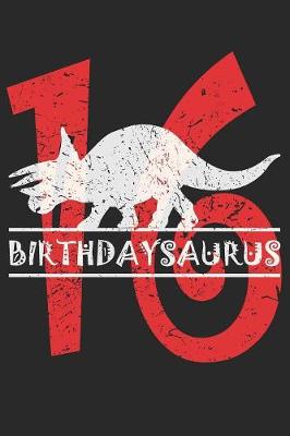 Book cover for Birthdaysaurus 16