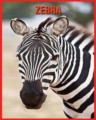 Book cover for Zebra