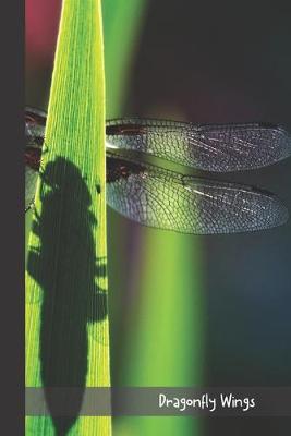 Book cover for Dragonfly Wings