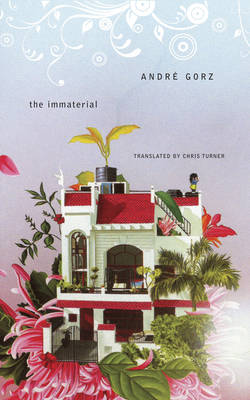 Book cover for The Immaterial