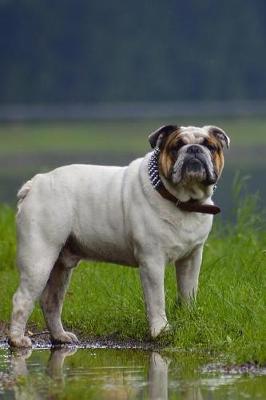 Book cover for English Bulldog at the Lake Journal