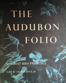 Book cover for The Audubon Folio: 30 Great Bird Paintings