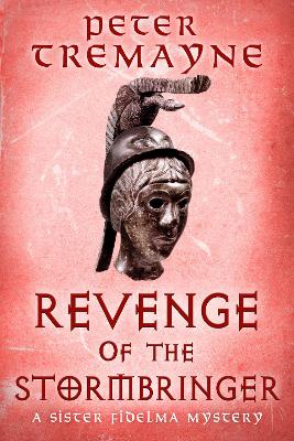 Book cover for Revenge of the Stormbringer