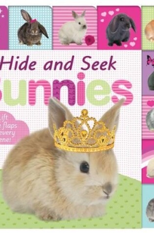 Cover of Lift the Flap Tab Hide & Seek Bunnies