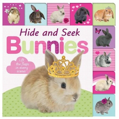 Book cover for Lift the Flap Tab Hide & Seek Bunnies