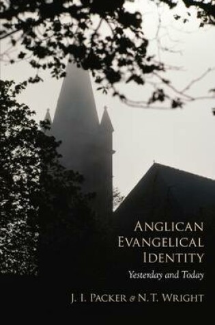 Cover of Anglican Evangelical Identity